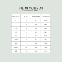Basic Thick SS Ring (silver)